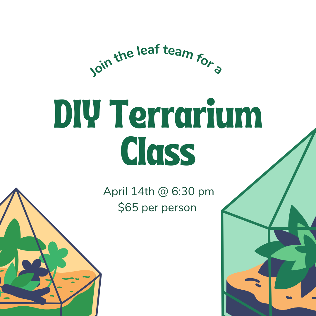 Terrarium Building Class 4-14-23 | leaf [ HOME • GIFT • PLANTS • BLOOMS ]